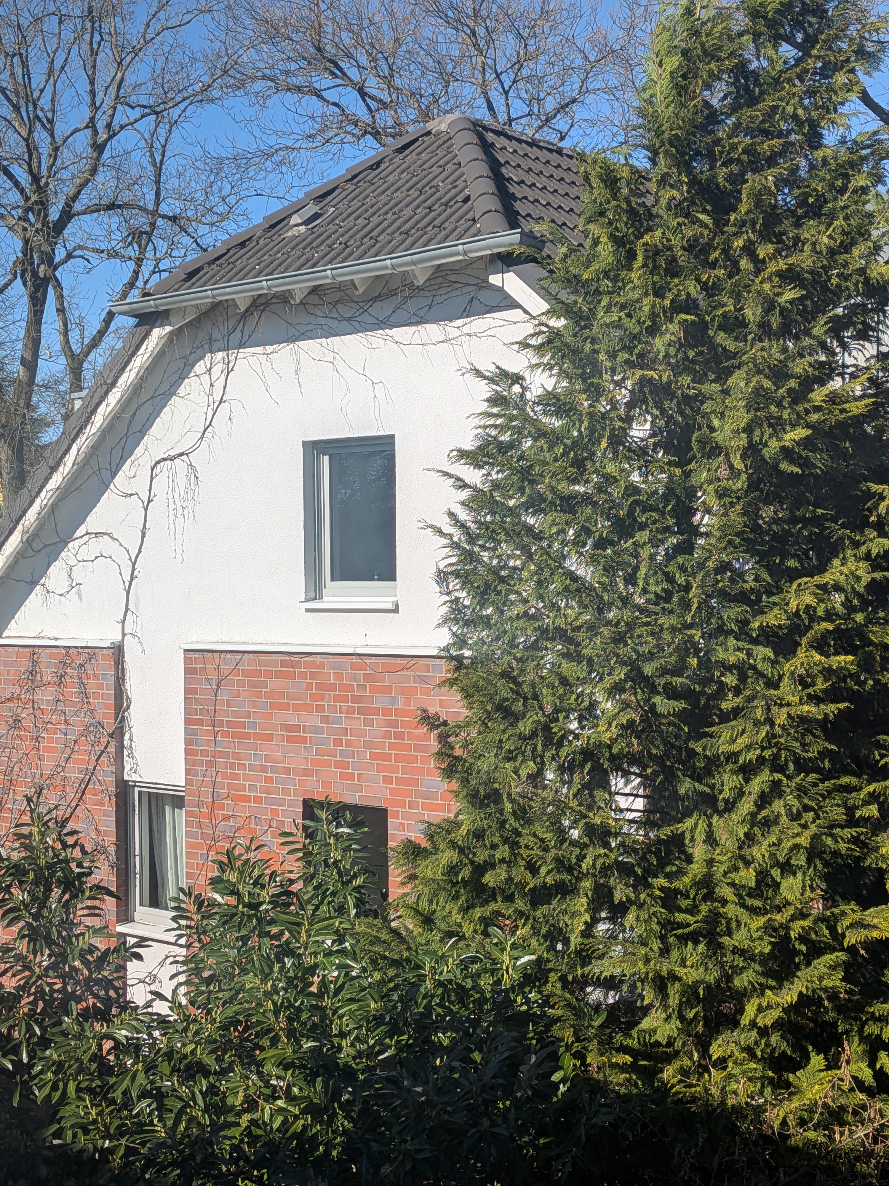 FotoBaumHaus